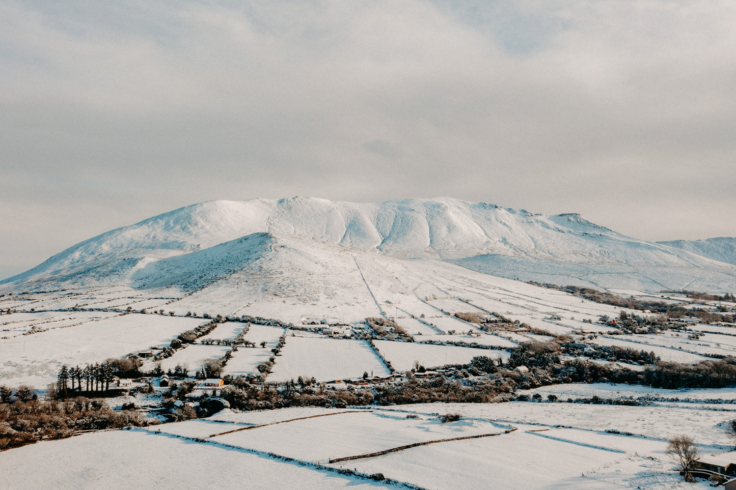 A breathtaking winter landscape of Caherconree, the iconic snow-covered mountain overlooking the village of Camp in County Kerry, Ireland. The scene showcases a patchwork of frost-covered fields, winding stone walls, and scattered houses nestled in the valley, all blanketed in pristine white snow. The mountain’s rugged slopes and ridges are softened by the snowfall, creating a serene and majestic atmosphere under a pale winter sky.