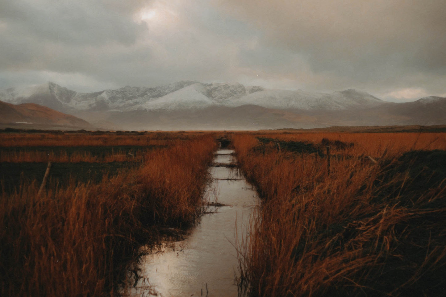 A breathtaking, painterly rendition of snow-capped Mount Brandon in County Kerry, Ireland. A narrow waterway cuts through the golden-hued bogland, leading the eye toward the distant, misty mountains shrouded in soft winter light. The snow-dusted peaks contrast beautifully with the earthy warmth of the foreground, creating a scene that feels  wild and ethereal. The moody sky, tinged with subtle light, adds to the dramatic, almost dreamlike atmosphere, making this image feel like a timeless Irish landscape