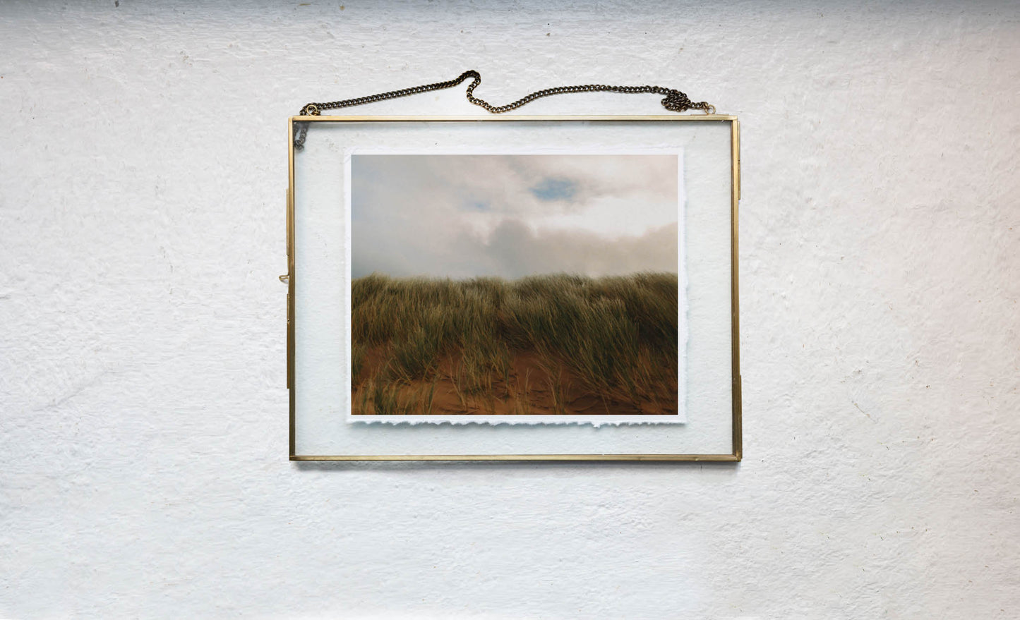 Marram grass