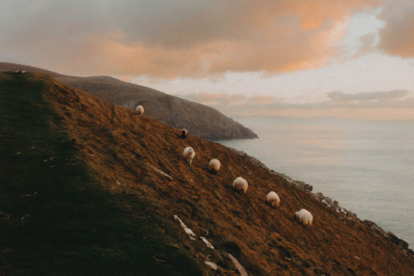 "On the Edge of the World"
Once a photograph, now a dream—this hand-painted-style print captures sheep grazing along the wild slopes of the Dingle Peninsula, where land meets sky and the Atlantic whispers to the hills. A timeless piece that brings Ireland’s quiet magic into your home.