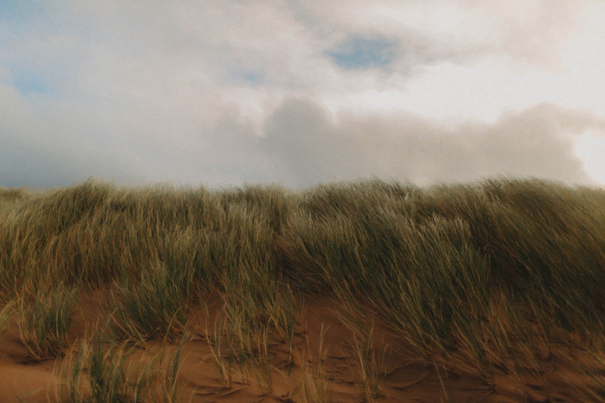 This photograph-turned-painting captures the wild elegance of Ireland’s coast—where maram grass stands tall like nature’s fringe, forever tussled by Atlantic gossip. Each blade tells a story of storms passed, secrets kept, and summer picnics long since buried in the sand. A print for those who adore windswept beauty, soft chaos, and the kind of grass that doesn’t care about being brushed.