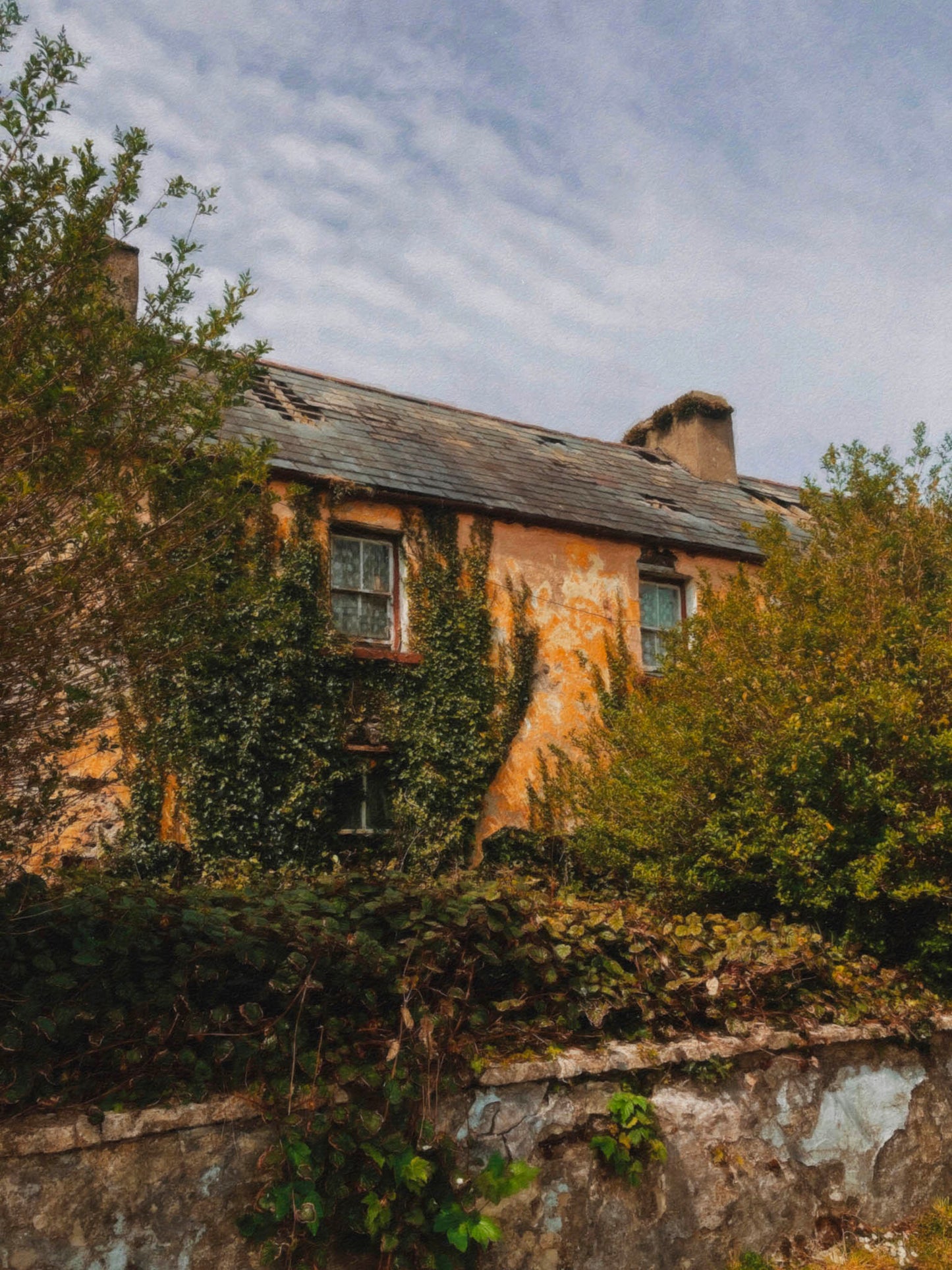 "Where the Ivy Remembers"
Once a photograph, now reborn in brush-like strokes, this textured print captures the soul of a long-forgotten Irish cottage. Draped in ivy and bathed in golden decay, the walls whisper stories of laughter, loss, and lingering echoes of life. A piece for those drawn to quiet ruins and the beauty of things left behind. Perfect for any space that honors nostalgia, nature, and the raw poetry of Ireland.

